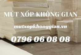 Mút Sofa D10