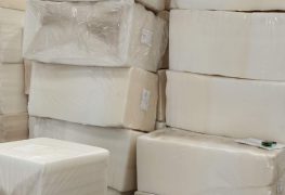 Tấm mút xốp ươm hạt 40×20